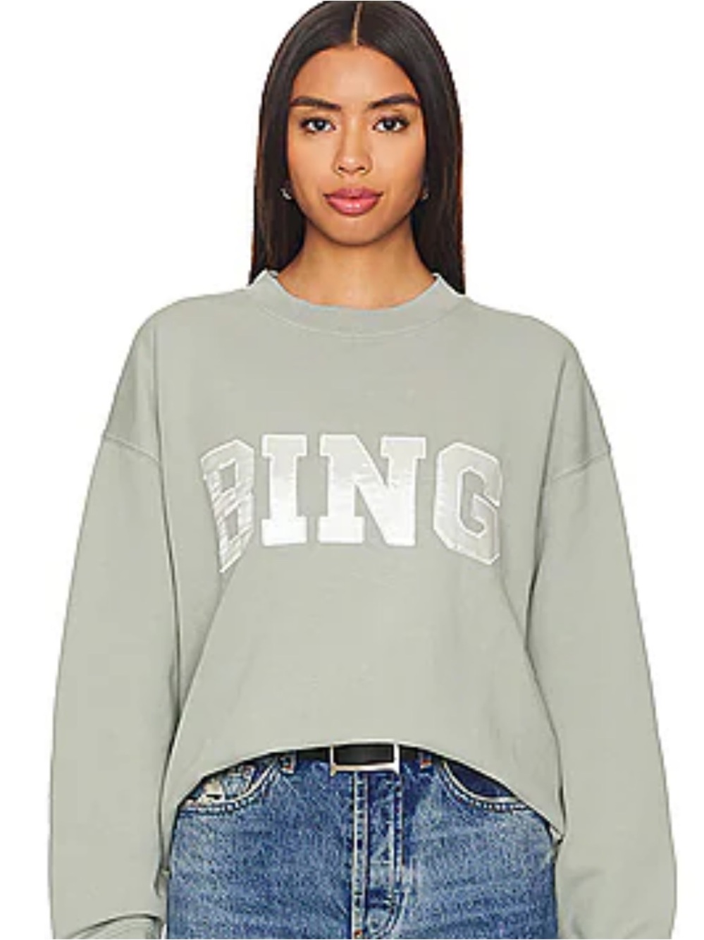 ANINE BING Tyler Satin Bing Sweatshirt in sage green